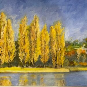 GOLDEN POPLARS
