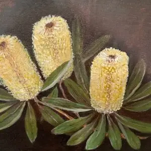 Yellow Banksia